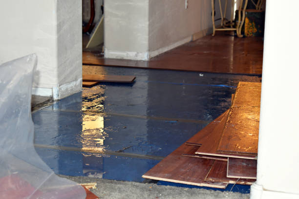 Professional Sewage Cleanup technician working in New Lothrop, MI